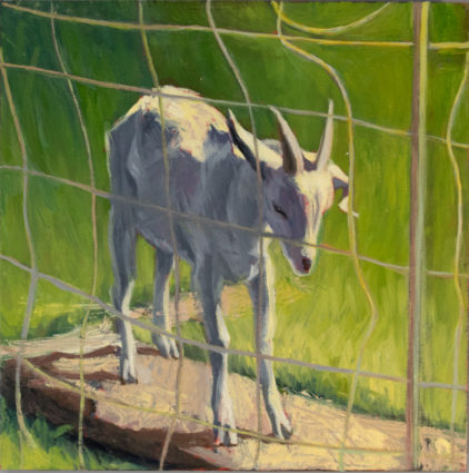 _DSC3774 scape goat 850 72px